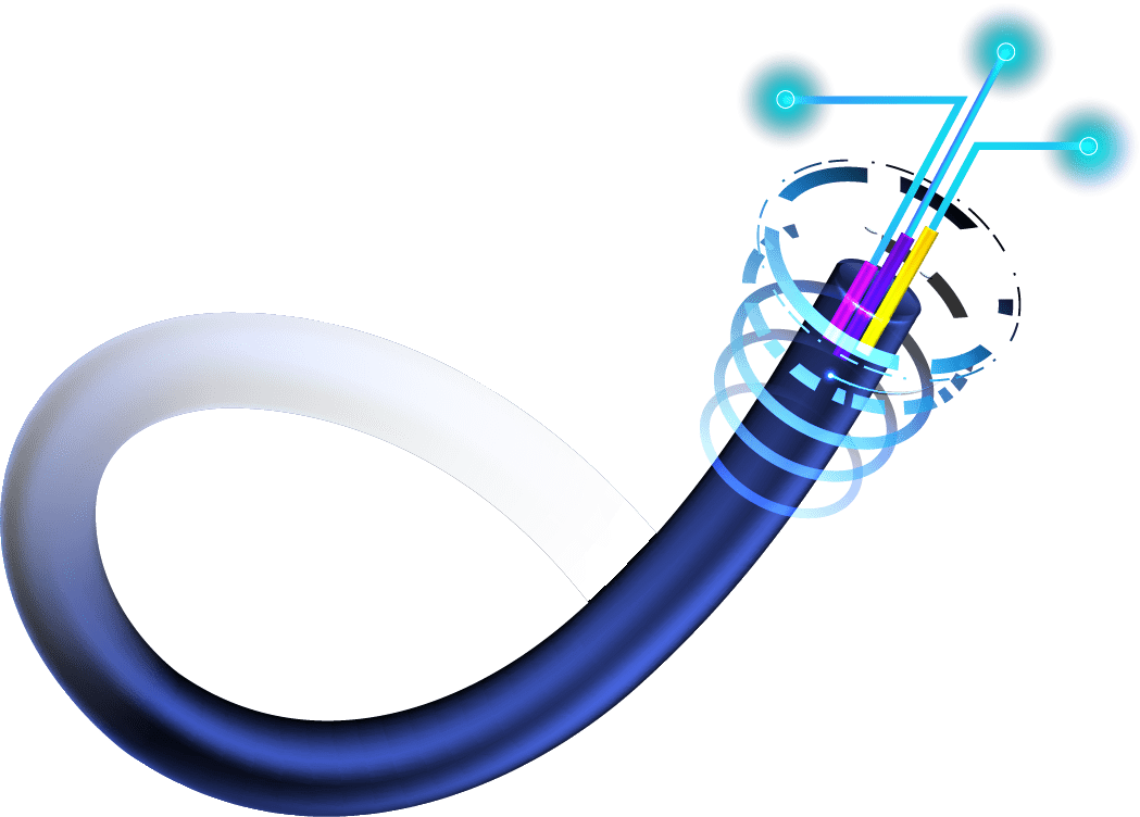 FIBER OPTIC
